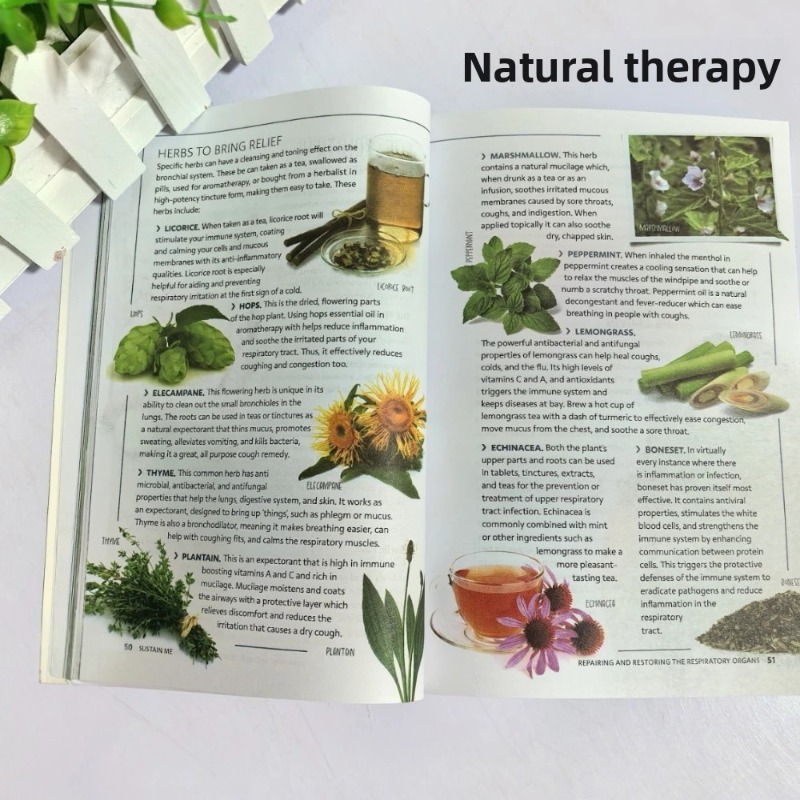 Sustain Me Barbara O'Neill: Un - Health Wellness Lifestyle reseña y precio